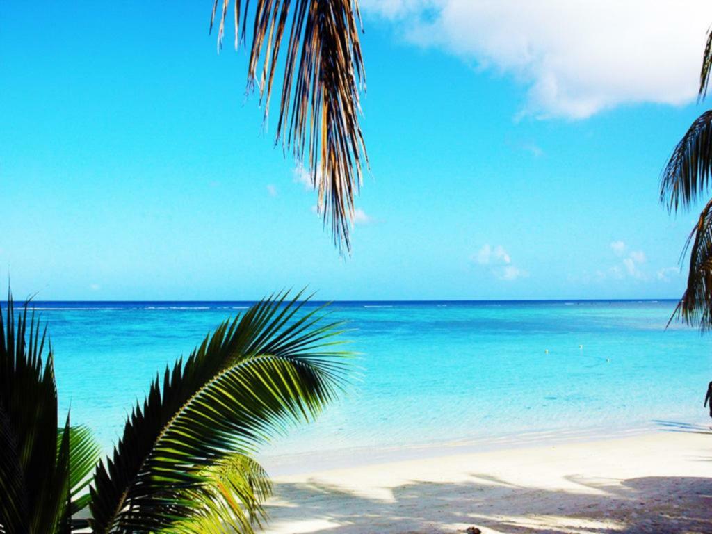 Beach Cove 4 佩雷贝勒 外观 照片
